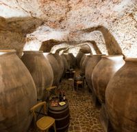 155052701_230976735388843_6920178298146540773_n