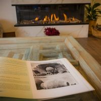 166647318_252703816549468_5839626097044519641_n